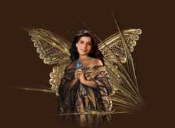 heidireed.com Marcelline