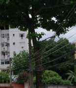 oglobo.globo.com Marcelosouza