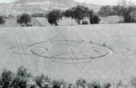 cropfiles.it Marcianesi