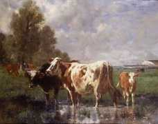 Marcke