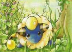 Mareep