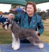 dogzonline.com.au Marelyne