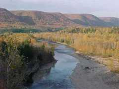 oceanhaven.ca Margaree
