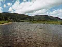 jdunns.com Margaree