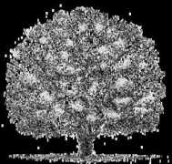 appleby.rootsweb.ancestry.com Margean