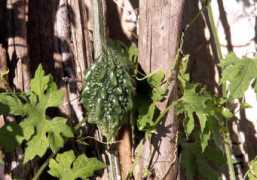 mi-aime-a-ou.com Margose