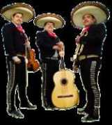 ad12mexico.unam.mx Mariach