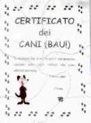 digilander.libero.it Mariadis