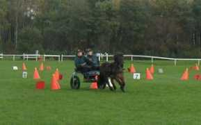 horsedriving.nu Mariamg
