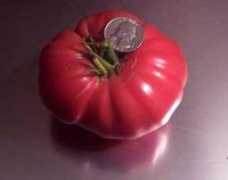 thisgardenisillegal.com Mariannas