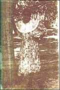 Mariathas