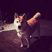 a-spoon.net Marichan