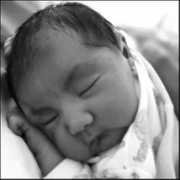 oes.org Marielena