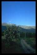 spanien.teamone.de Marigal