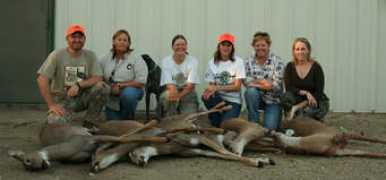 dakota-archery.com Marihelen