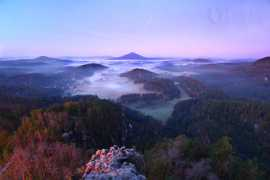 photonature.cz Mariine