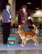 skylarktollers.com Marikki