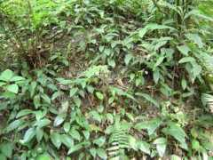 novomilenio.inf.br Marildo