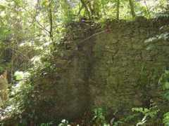 novomilenio.inf.br Marildo