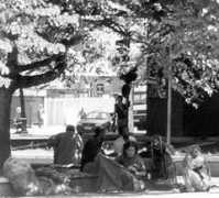 vitruvius.com.br Marilice