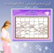 q8yat.com Marimor