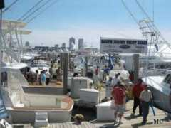 monopolycity.com Marinal