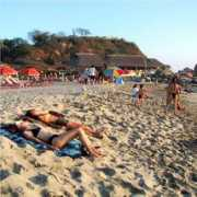 tomzap.com Marinero
