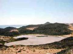 sunnyfuerteventura.com Maritino