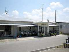 ishigaki.in Mariud