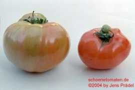 schoenetomaten.de Marizol