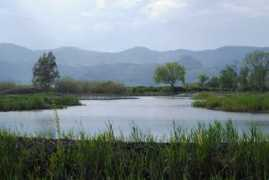 panoramio.com Marjal