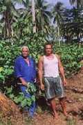 rotuma.net Markao