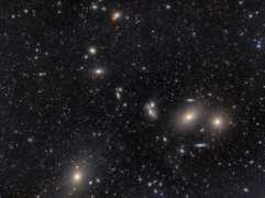 starkeeper.it Markarian