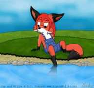 furnation.ru Markiz