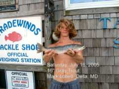fishtradewinds.com Marklo