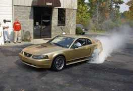 mustangworld.com Markray