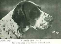 englishriverwebsite.com Marlais