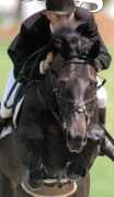 Marlando