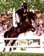 Marlando