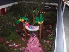 phinneywood.com Marlott