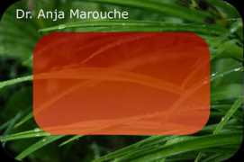 marouche.de Marouche