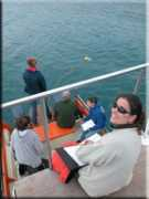 whitesharktrust.org Marthan