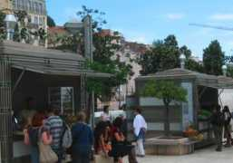 golisbon.com Martim