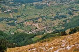 panoramio.com Martinaj