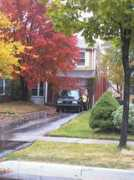 mississauga4sale.com Martlen