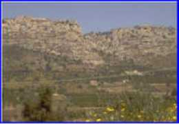 informatoredisicilia.it Martorino