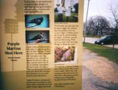 hydepark.org Martsi