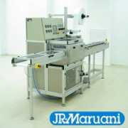 jrmaruani.free.fr Maruani