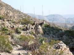 americansouthwest.net Marufo