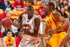 gocamels.com Marvelle